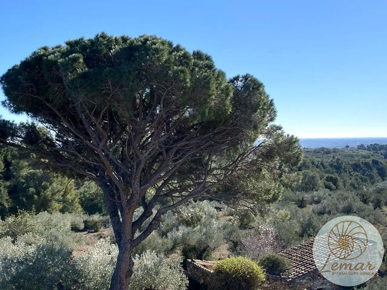 Casa rústica con jardín en venta en Venta Nova, imagen 28