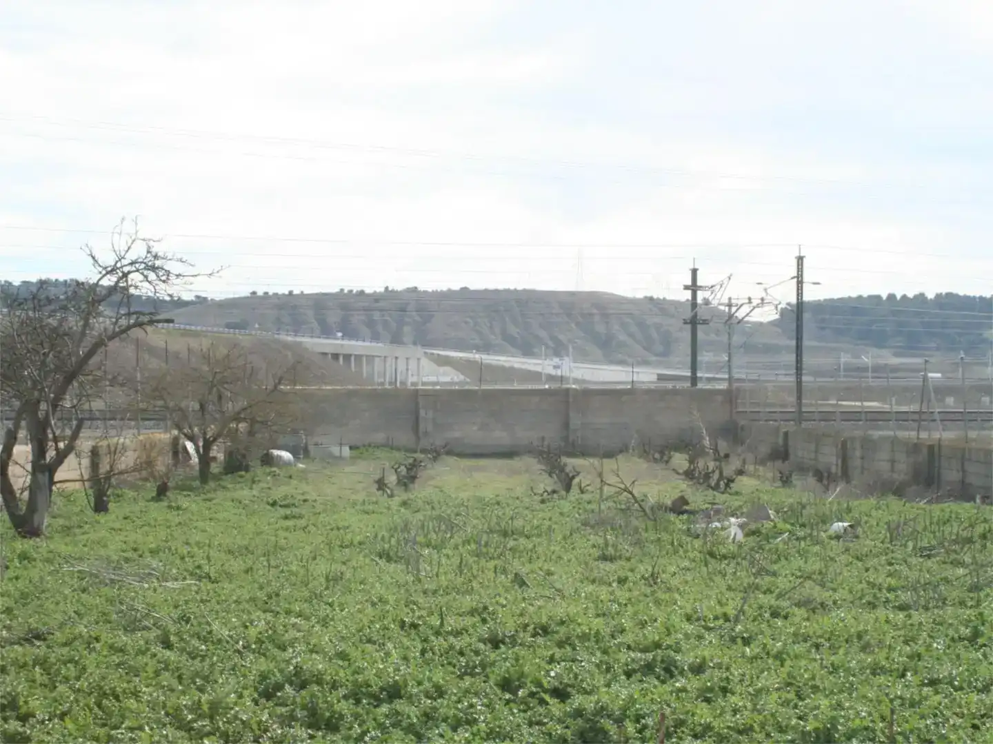 Terreno en venta en Santovenia de Pisuerga