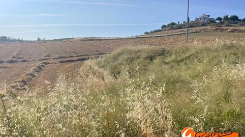 Photo 4 of Residential for sale in Góngora, Alameda, Málaga