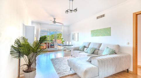 Foto 3 de Àtic en venda a El Rosario - Ricmar, Marbella