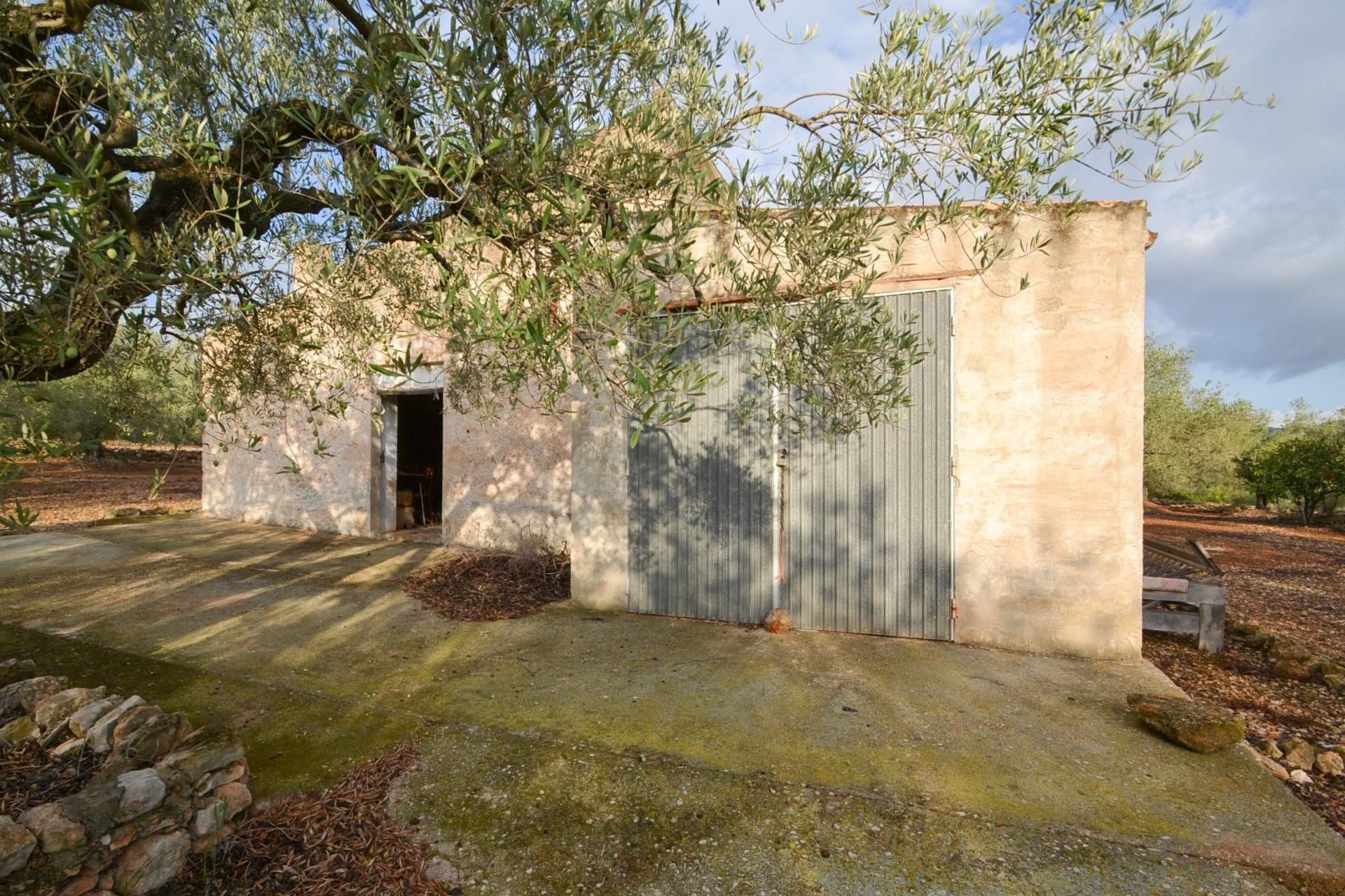 Vista exterior de Finca rústica en venda en El Perelló amb Terrassa