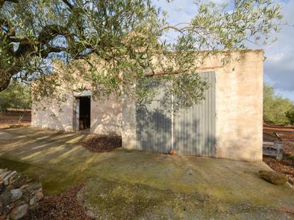 Exterior view of Country house for sale in El Perelló  with Terrace