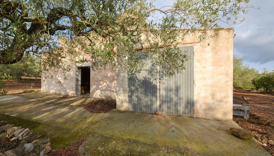 Foto 1 de Finca rústica en venda a  Polígono 10 Parcela 27 Codinas. el Perello (tarra, 10, El Perelló, Tarragona