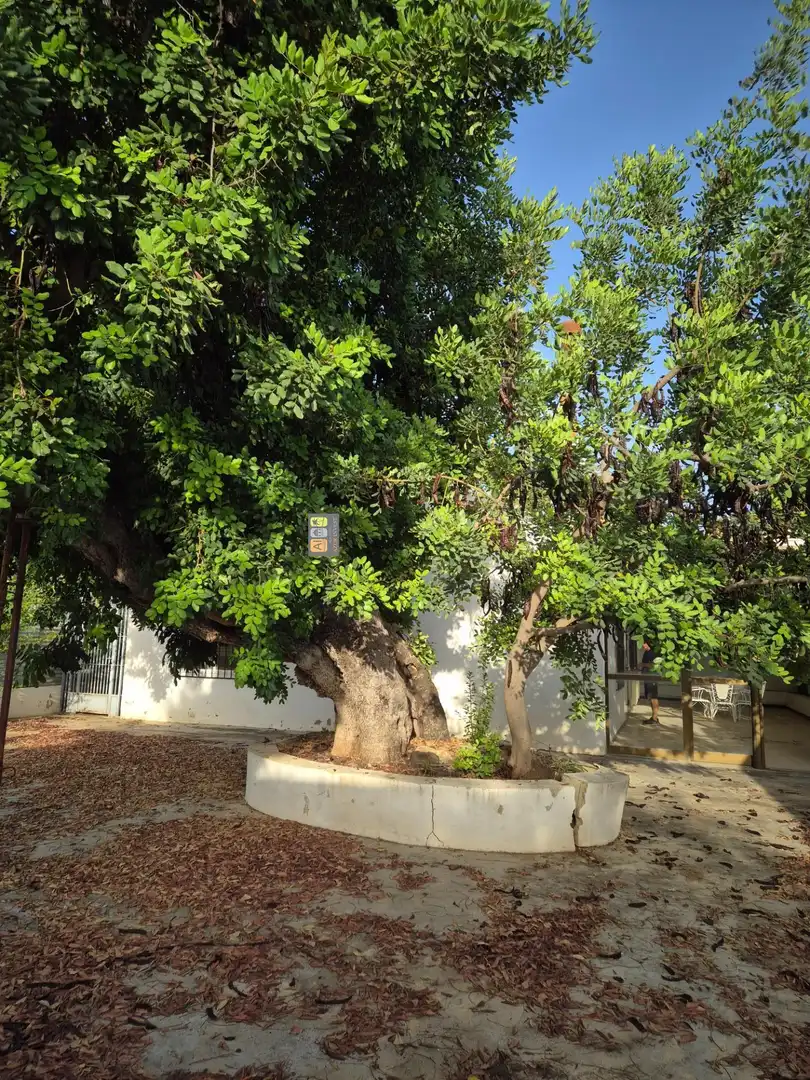 Casa o chalet en venta en Altea ciudad