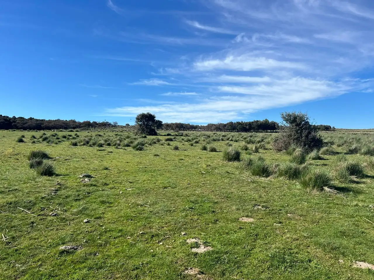 Terreni e lotti in vendita a Tornadizos de Ávila, imagen 10