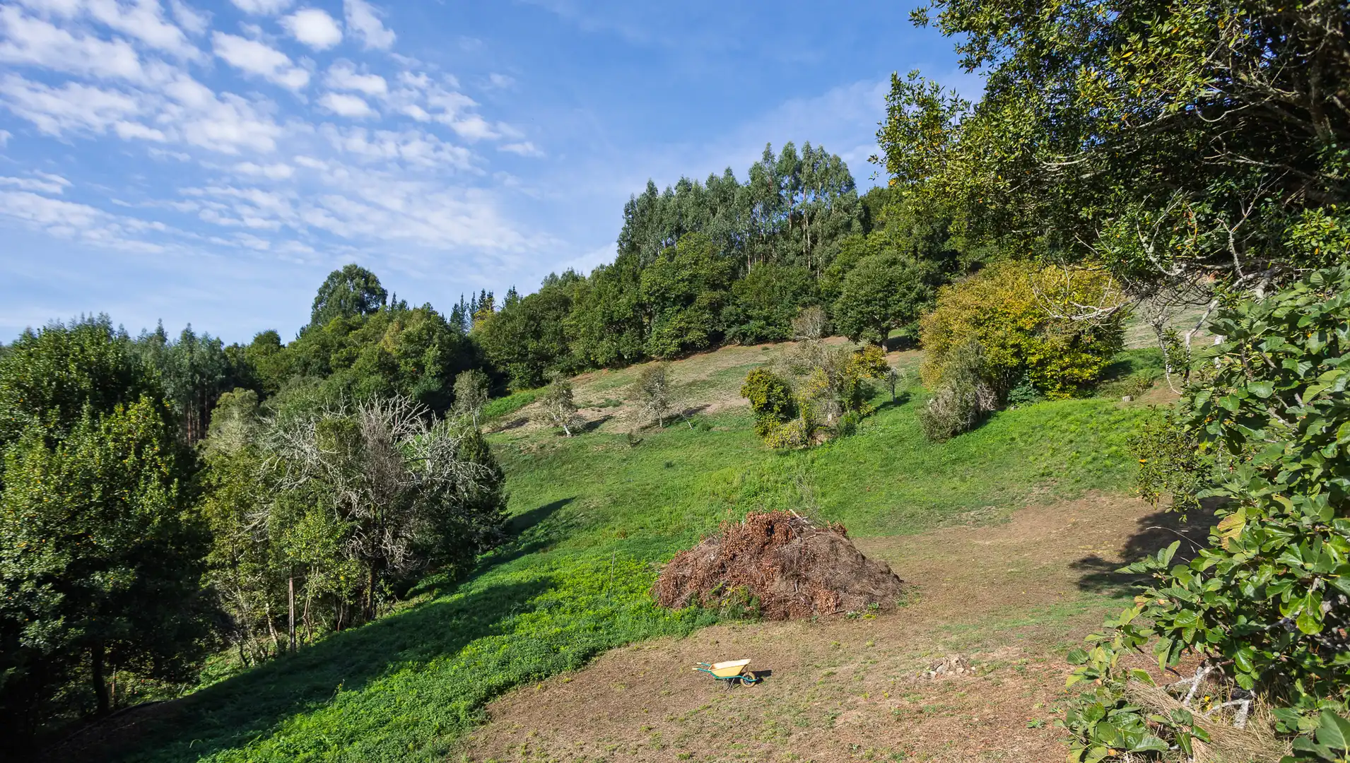 Finca rústica en venta en A Fonsagrada  con Amueblado