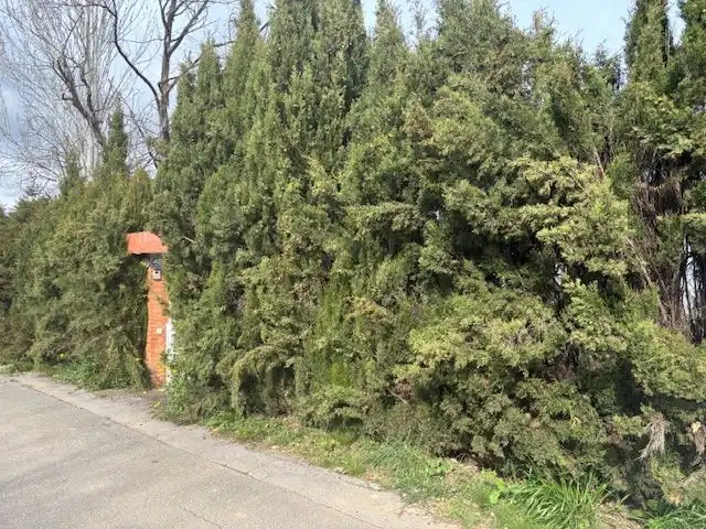 Casa o chalet en venta en Palau-solità i Plegamans con Jardín privado, Terraza y Piscina
