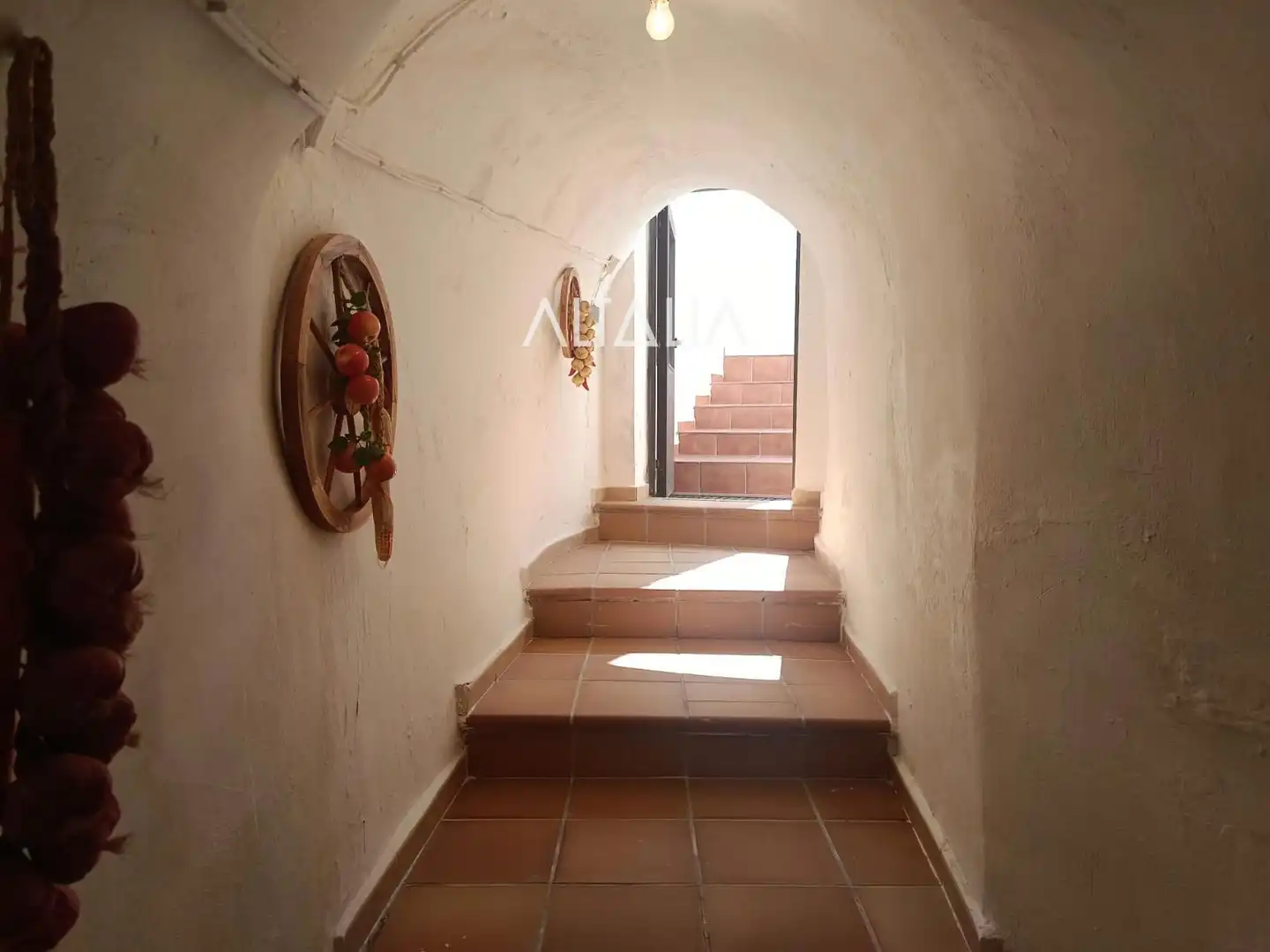 Casa amb jardí en venda a MISERICORDIA, imagen 15