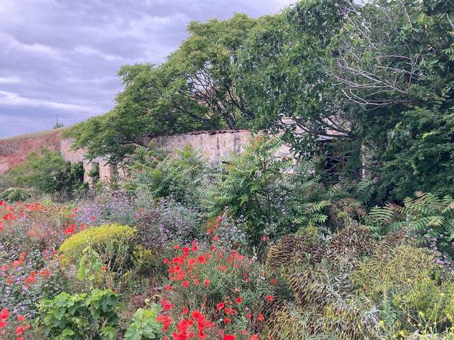 Terreno residencial en Venta en Almirez, 9 en San Lorenzo - San Marcos