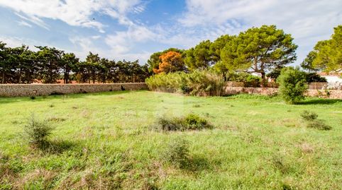 Foto 4 de Finca rústica en venda a Sant Climent - Es Canutells, Maó - Mahón