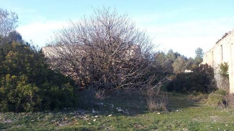 Foto 3 de Finca rústica en venda a Camino de Jafra a Olivella, Olivella, Barcelona