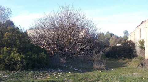 Foto 3 de Finca rústica en venta en Camino de Jafra a Olivella, Olivella, Barcelona