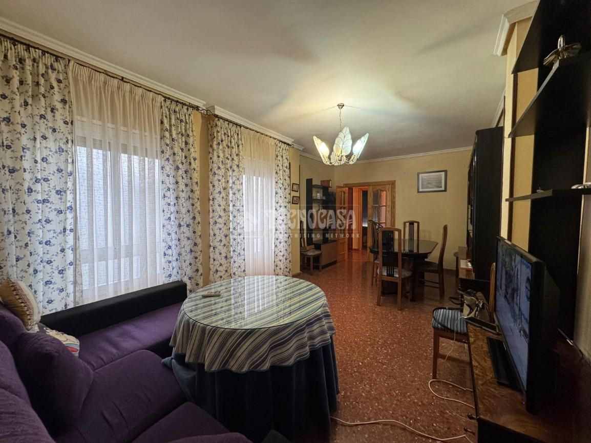 Sala d'estar de Pis en venda en La Carolina amb Aire condicionat i Moblat