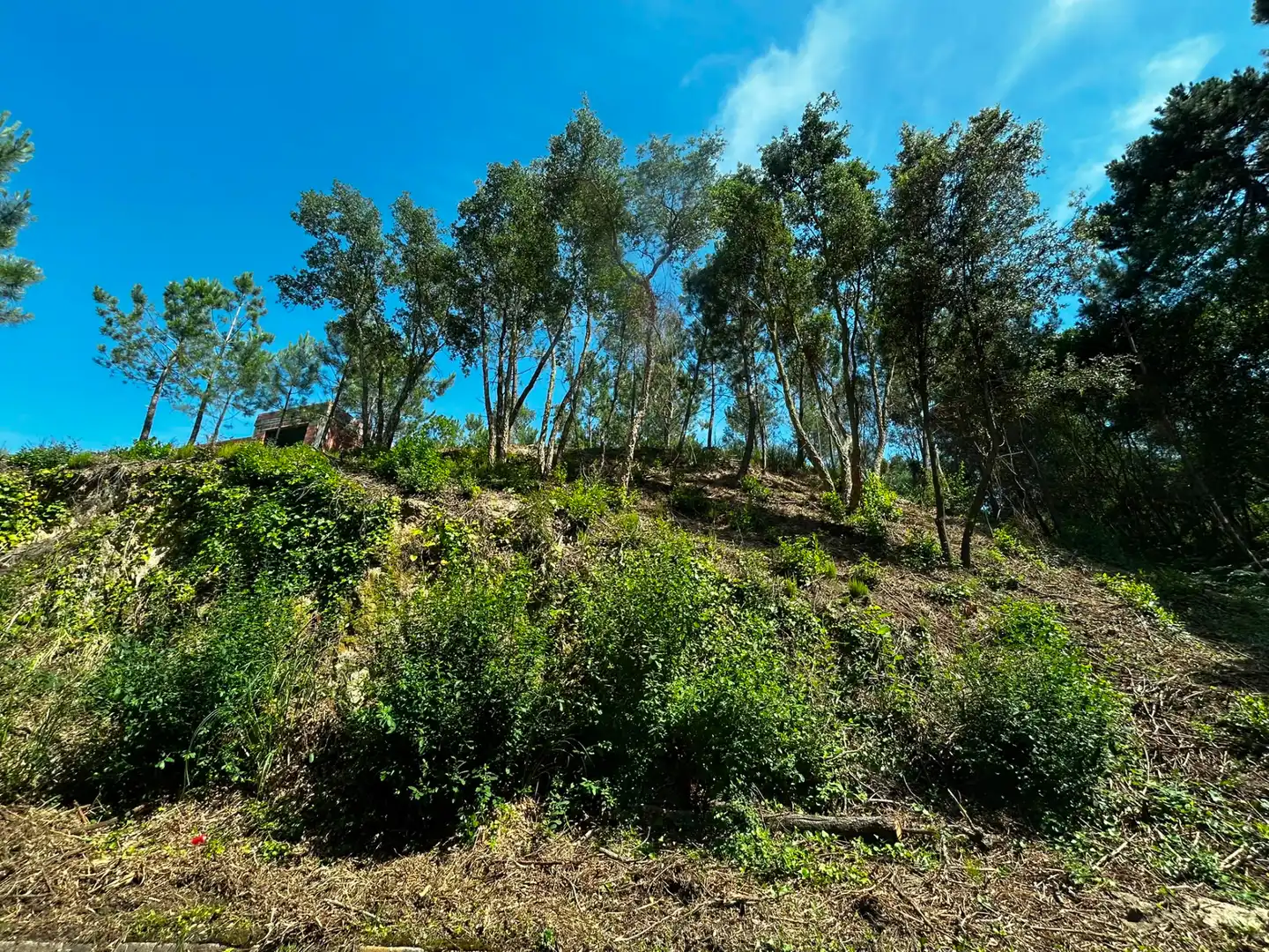 Terreno residencial en venta en Lloret Blau - La Creu de Lloret, imagen 6