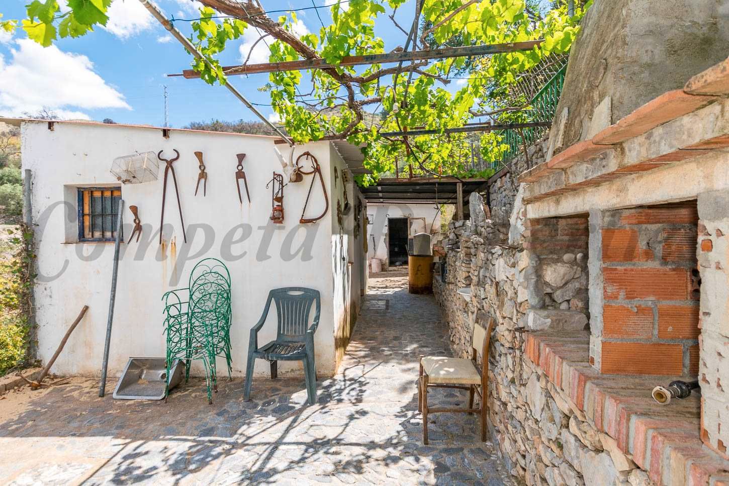 Exterior view of Country house for sale in Cómpeta  with Private garden and Terrace