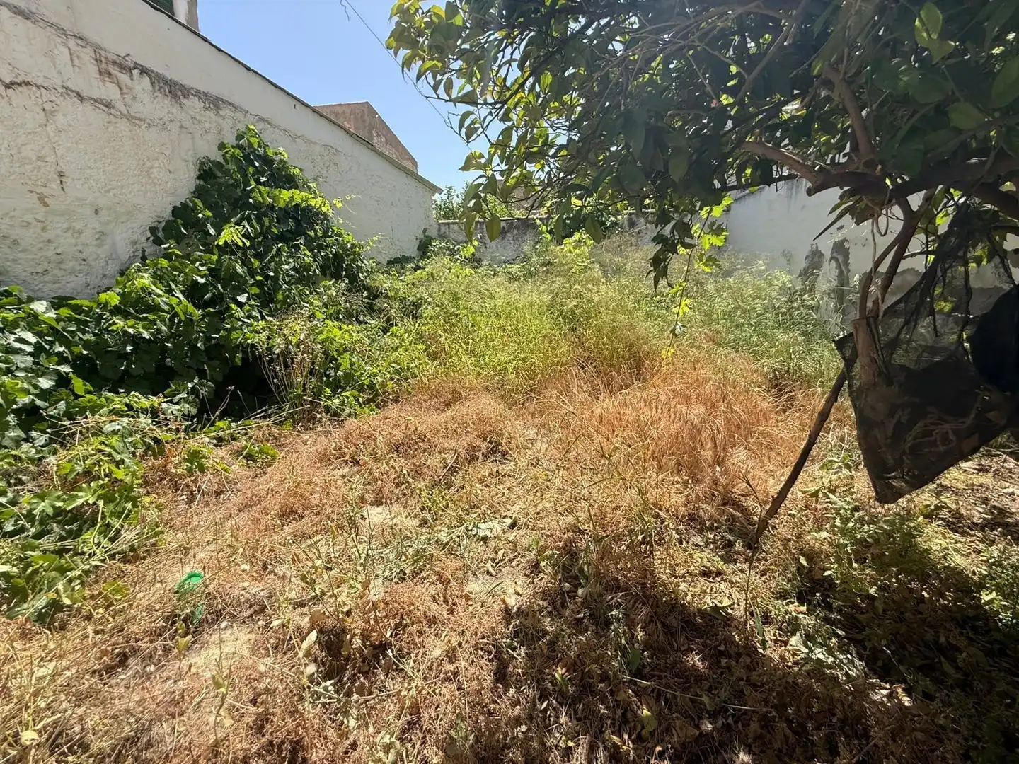 House with terrace for sale in Calle GRAMA, imagen 23