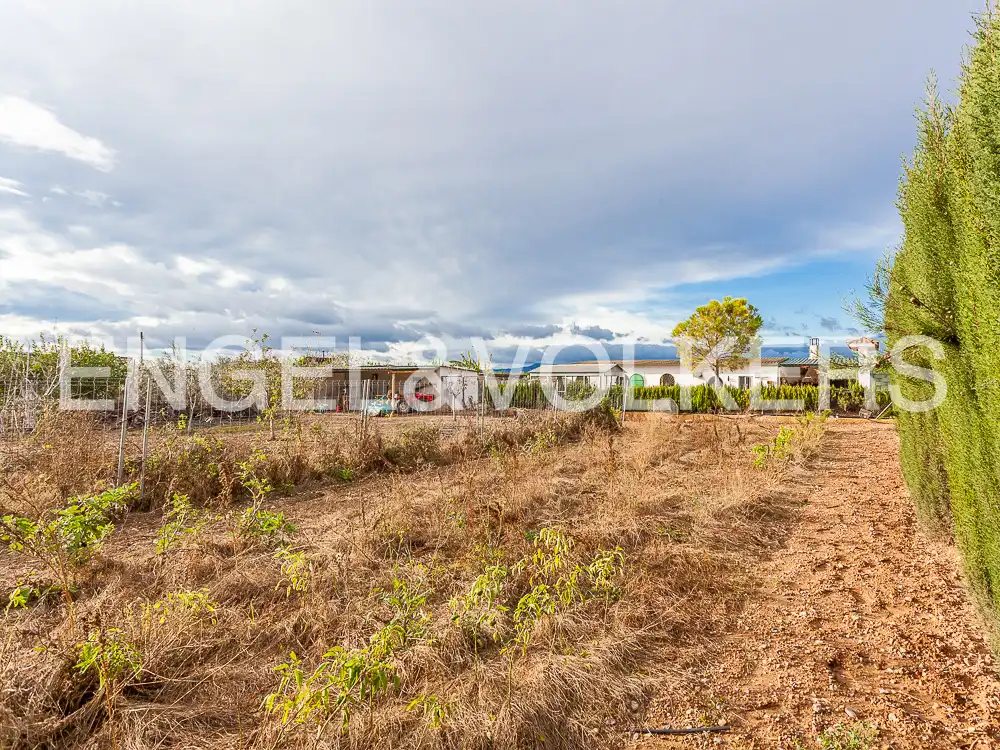Terrain rustique à vendre à Santa Bárbara, imagen 32