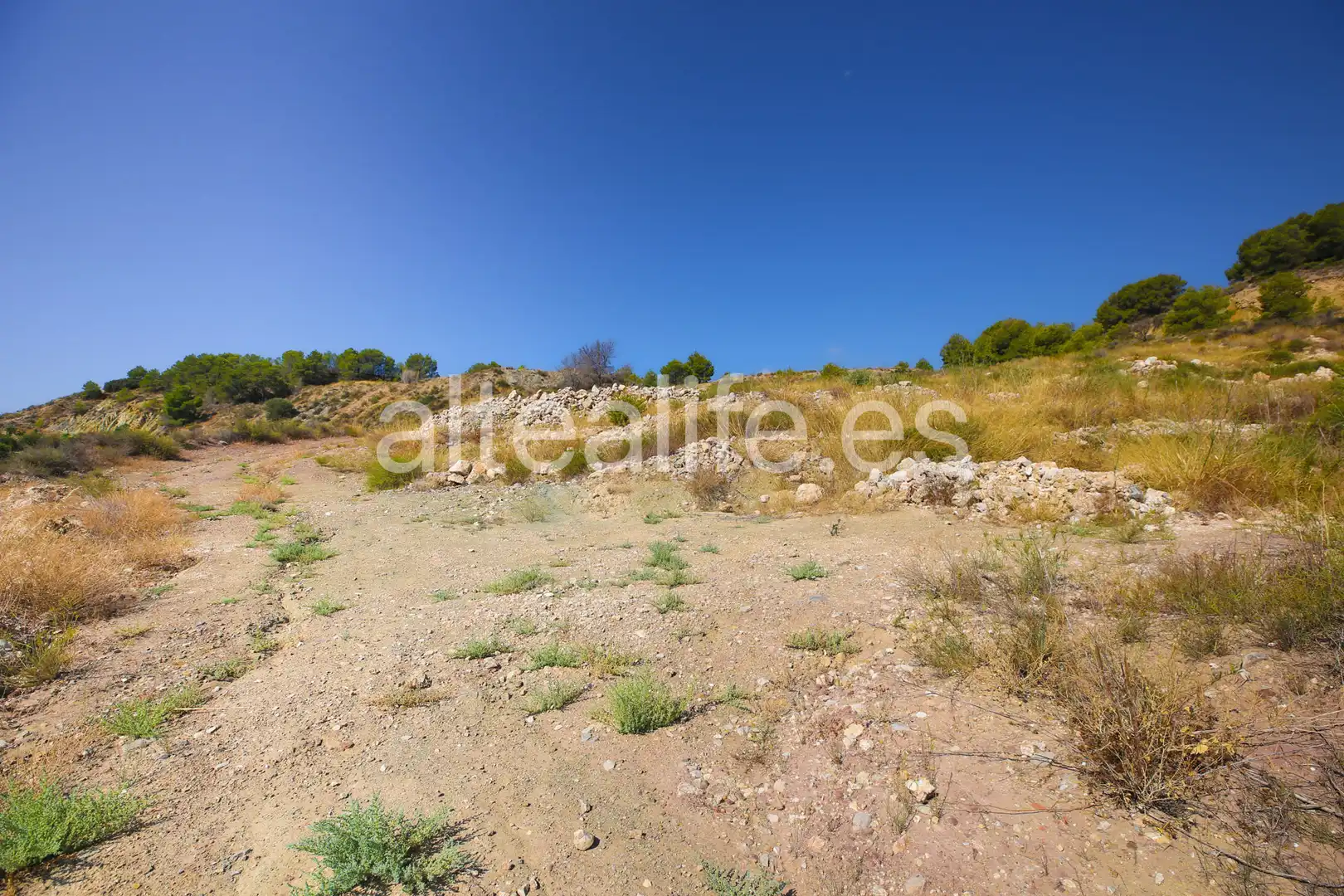 Terreny rústic en venda a Partida Barranquet, imagen 17