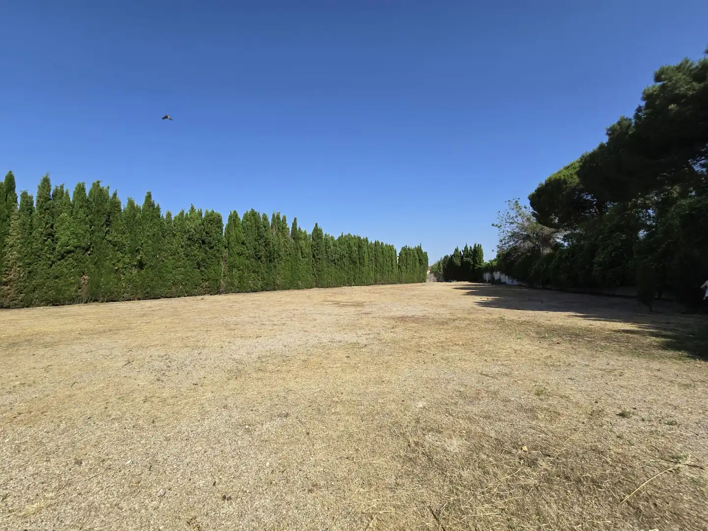 Buildings for sale in Esquivias  with Alarm