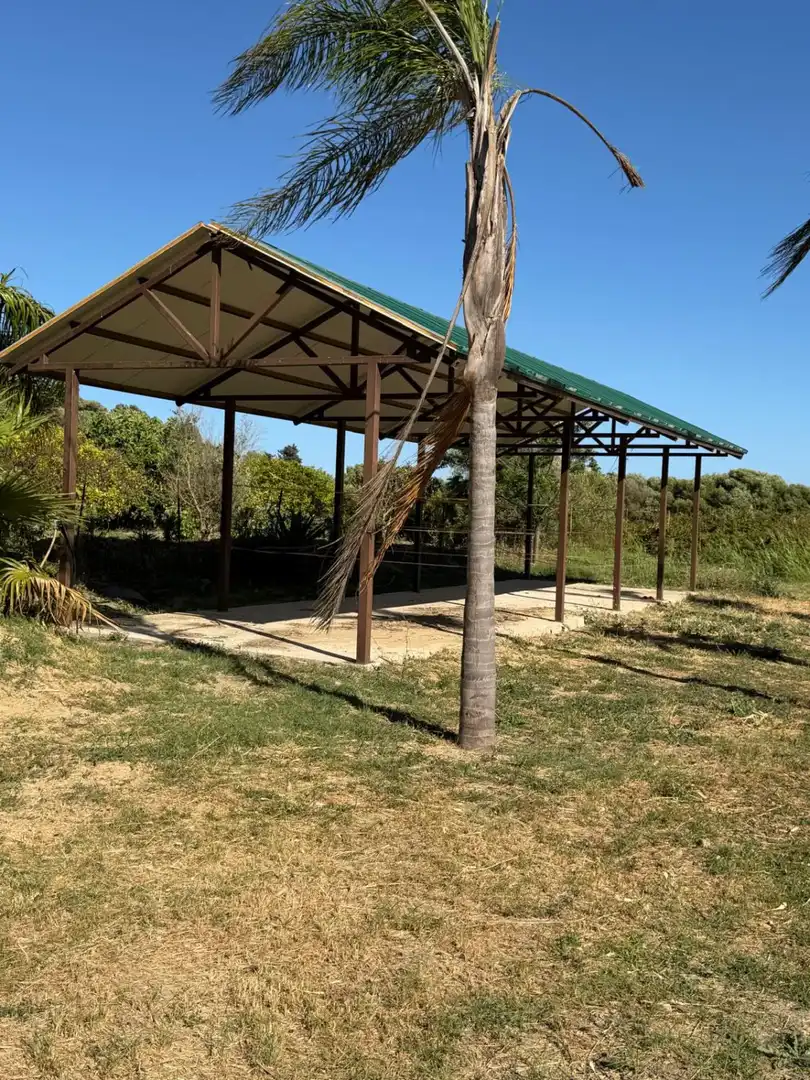 Casa rústica amb piscina en venda a San Martín del Tesorillo, imagen 46