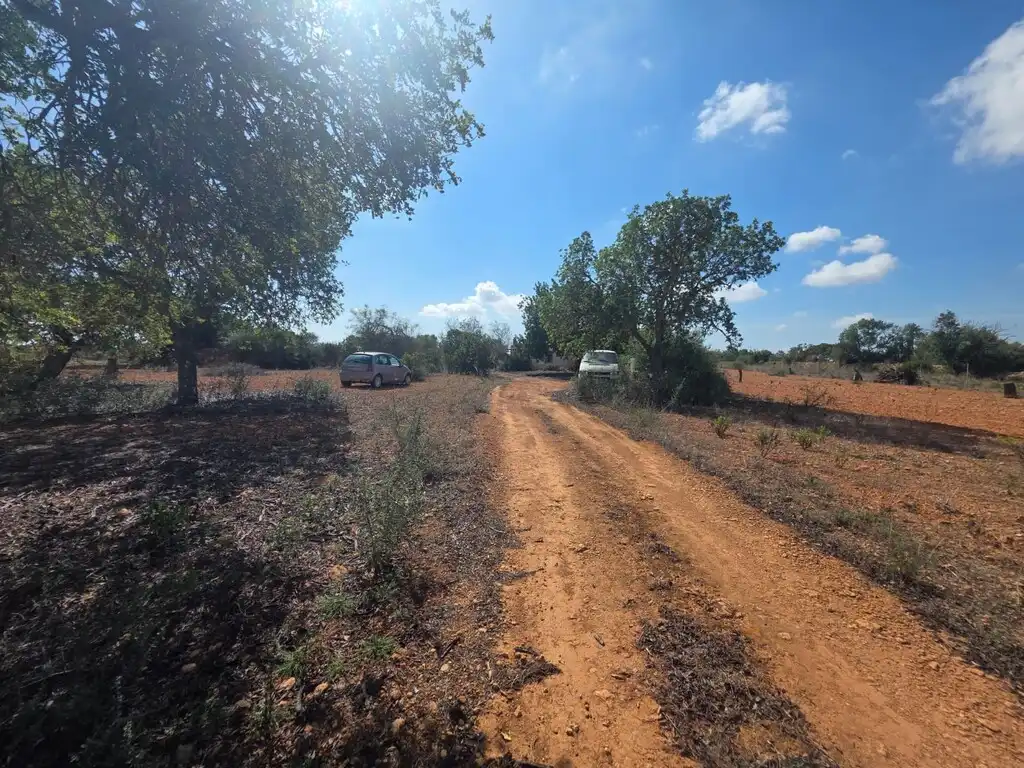 Casa rústica en venda a Llucmajor pueblo, imagen 23