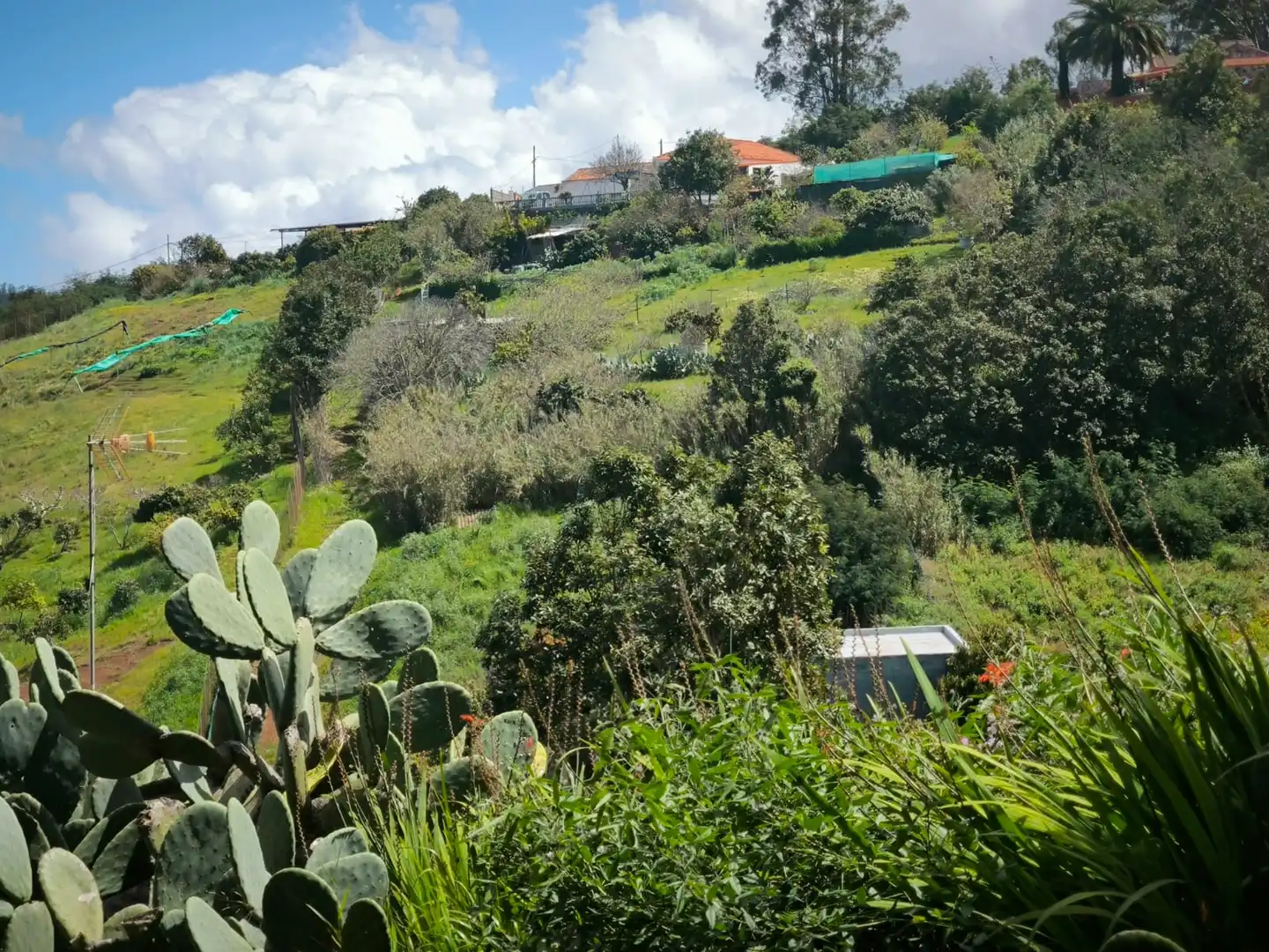 Jardín de Finca rústica en venta en Moya (Las Palmas)