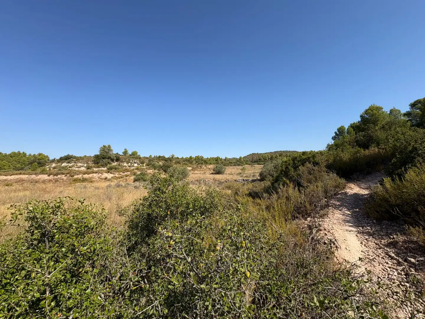 Terreno rustico in vendita a Cervià de Les Garrigues, imagen 42