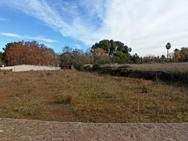 Wohnbaugrundstück zum Verkauf in ALBUFERA 3
