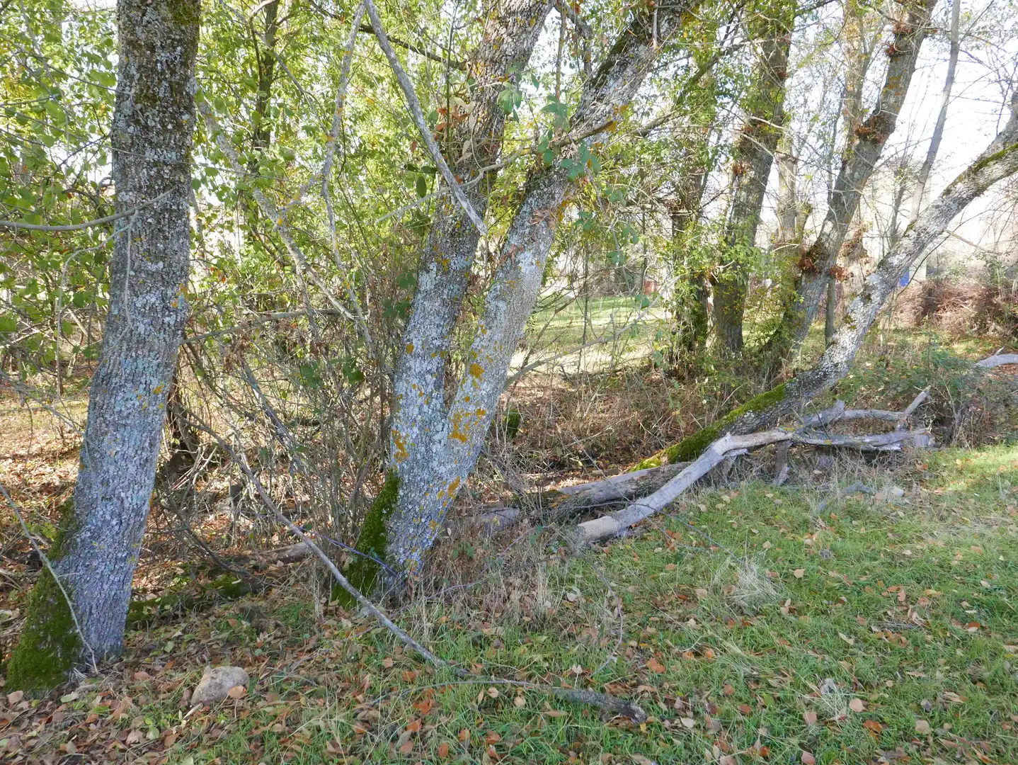Land for sale in Santo Tomé del Puerto