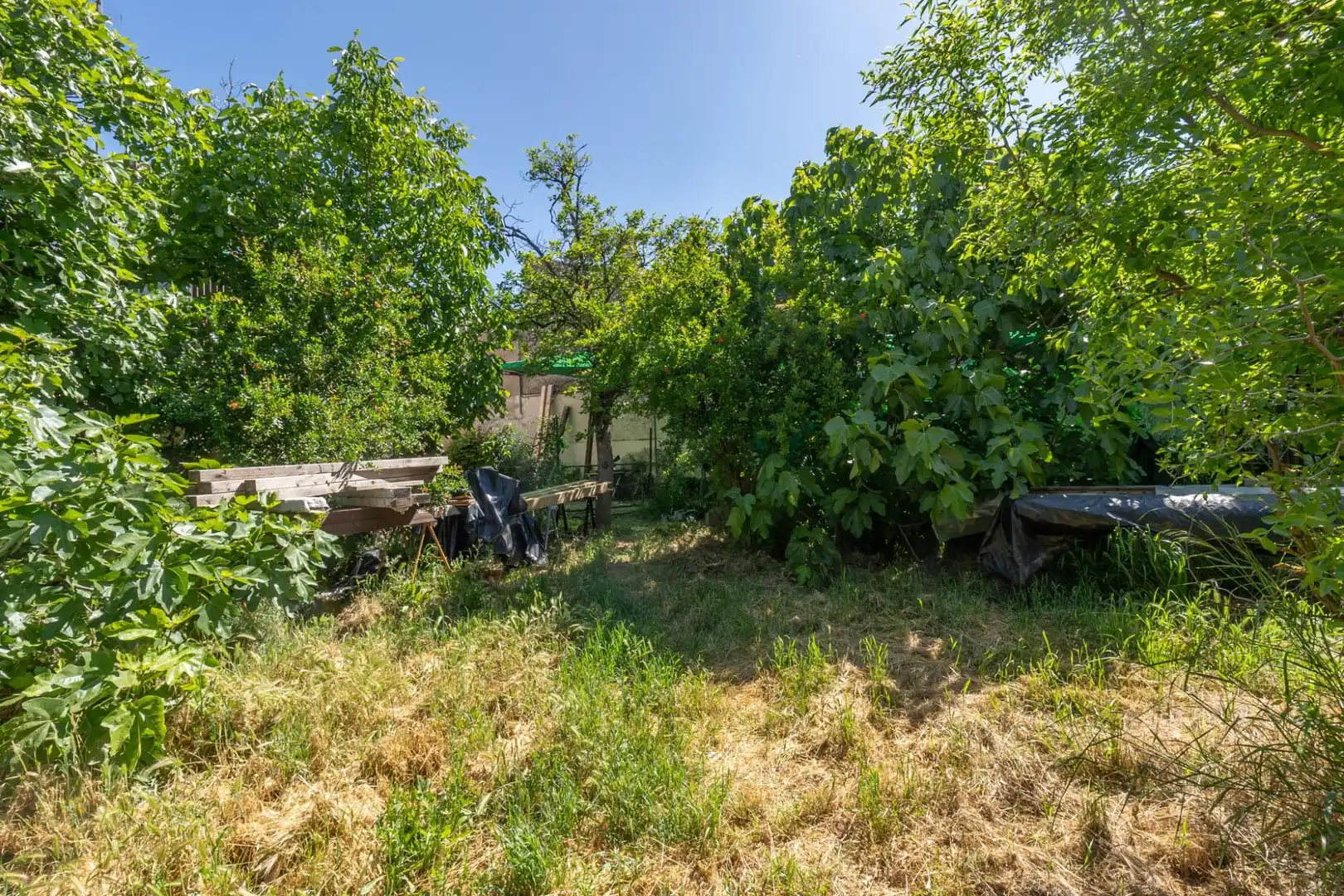 Casa o chalet en venta en Santa Fe con Jardín privado