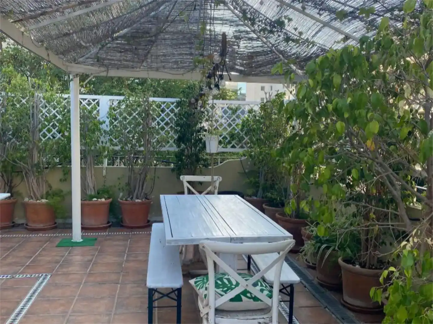 Terrasse von Wohnung zur Miete in Marbella Centro