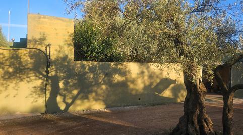 Foto 3 de Finca rústica en venda a N/a, -1, Canet lo Roig, Castellón