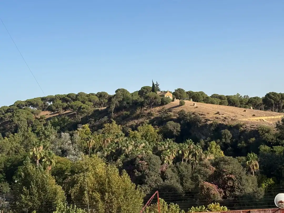 Pis en venda en Alcalá de Guadaira amb Terrassa