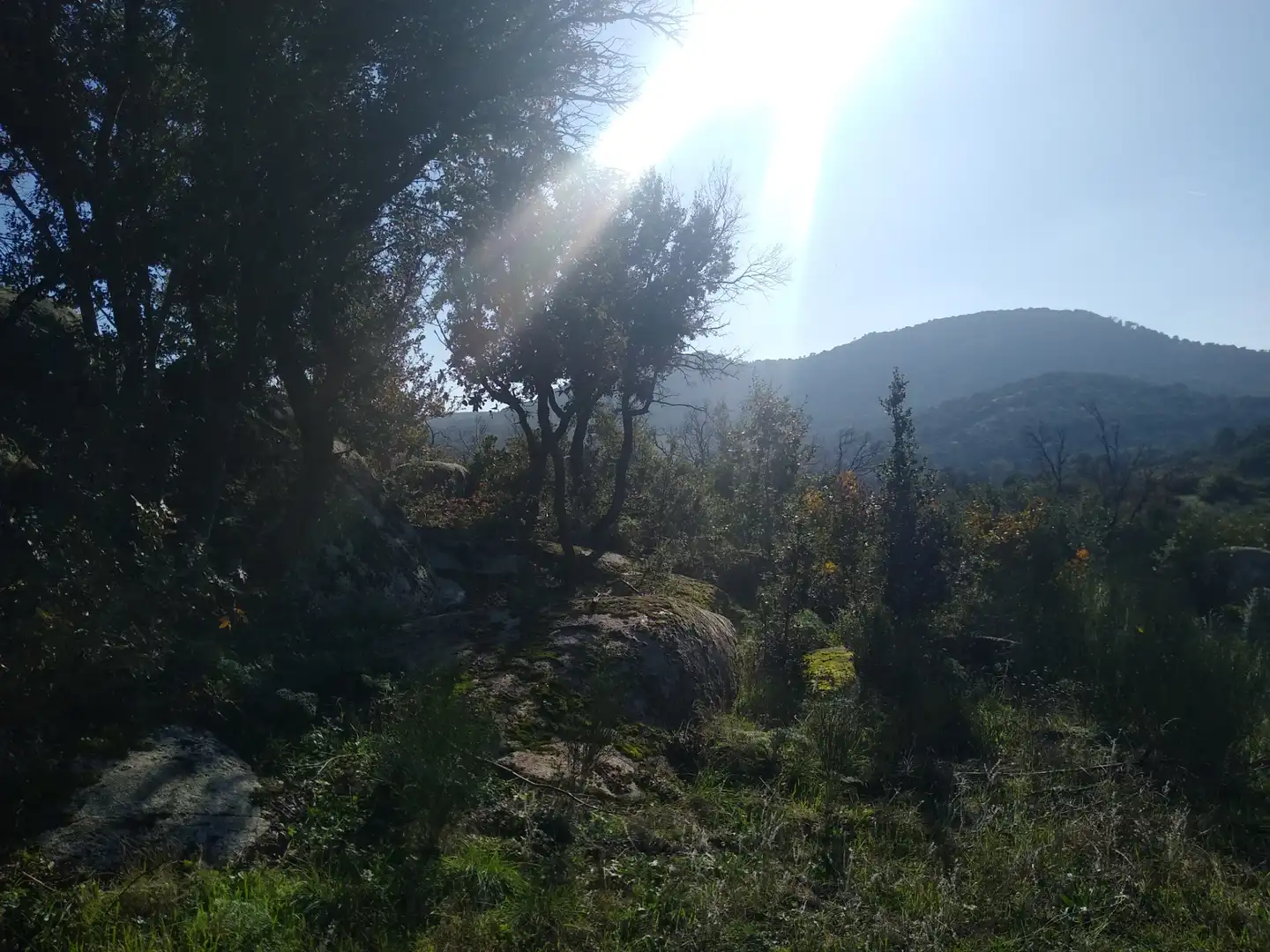 Rural land for sale in Cadalso de los Vidrios, imagen 20