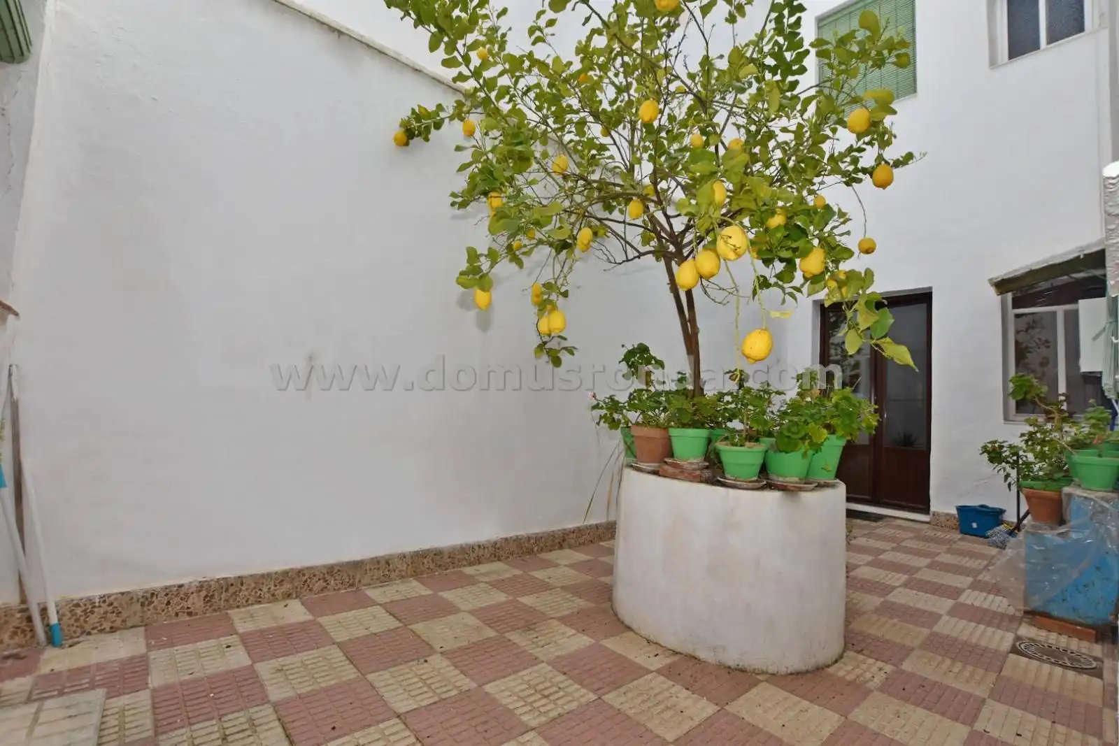 Garden of Houses for sale in Ronda  with Storage room and Balcony