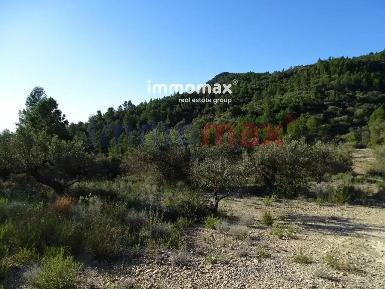 Terrain résidentiel à vendre à 16, imagen 15