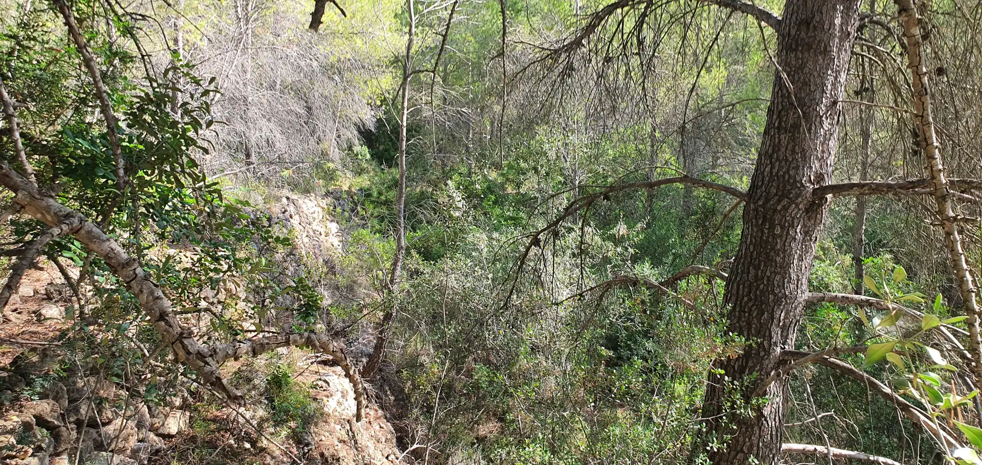 Casa o chalet en venta en Benifallet