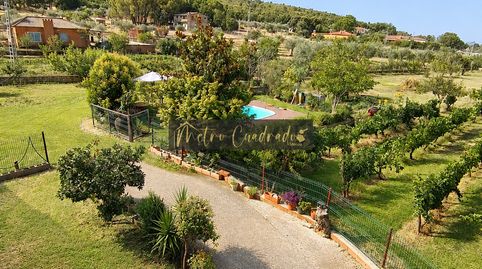 Foto 5 de Finca rústica en venta en Alcuéscar, Cáceres