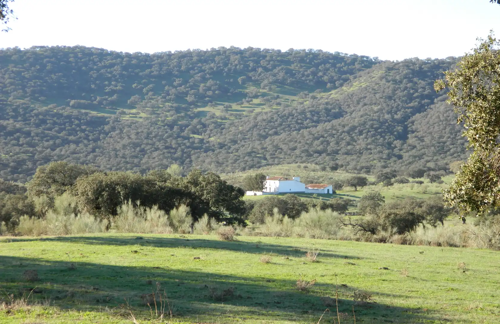 Rural land for sale in La Hispanidad - Verdeluz, imagen 11