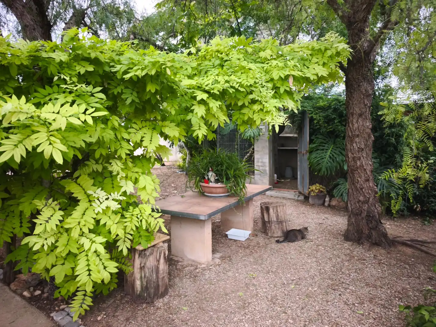 Jardí de Finca rústica en venda en Masdenverge amb Jardí privat, Traster i Moblat