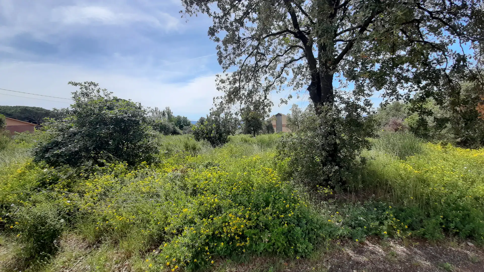 Residential land for sale in Carrer dels Tiŀlers 5, imagen 10