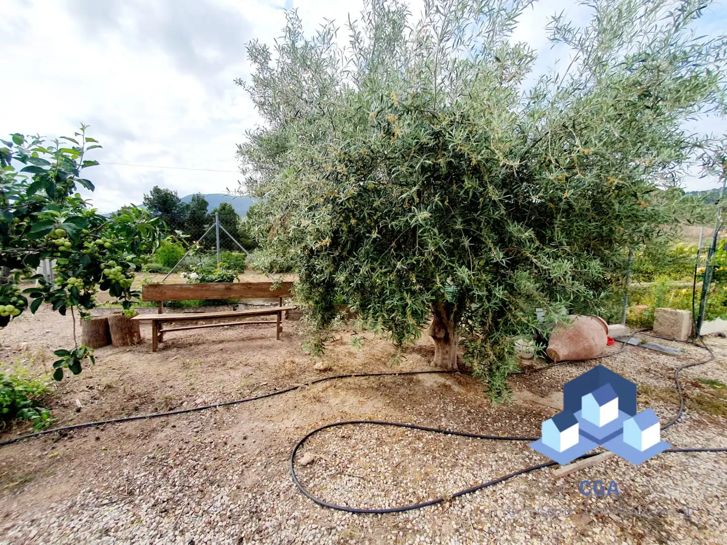 Jardí de Casa o xalet en venda en Lorca amb Terrassa, Traster i Moblat