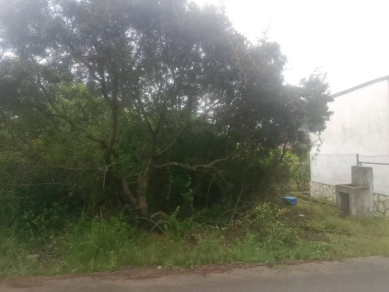 Terrain rustique à vendre à Calle Cami Rural Rotova, imagen 19