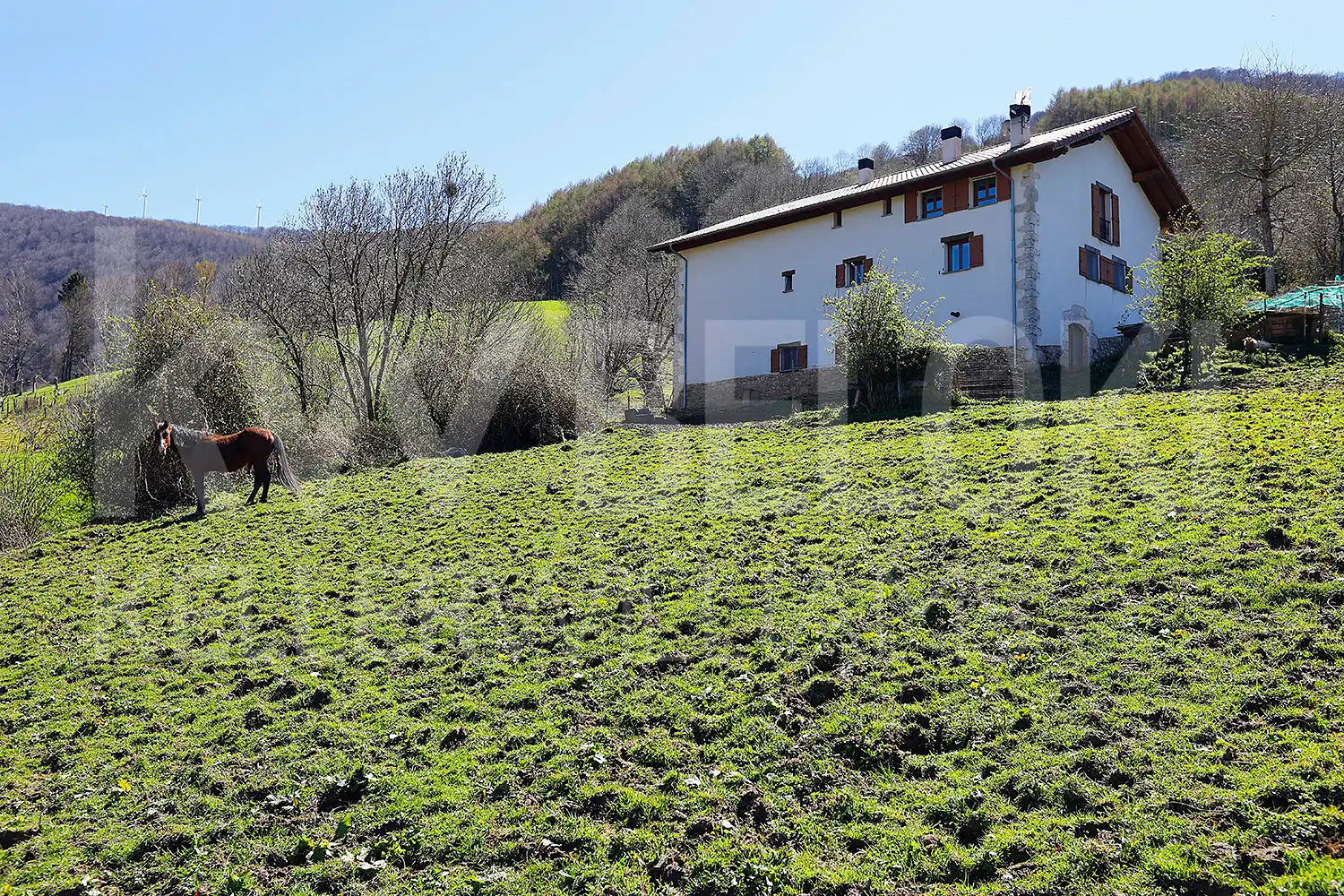 Casa o chalet en venta en Leitza