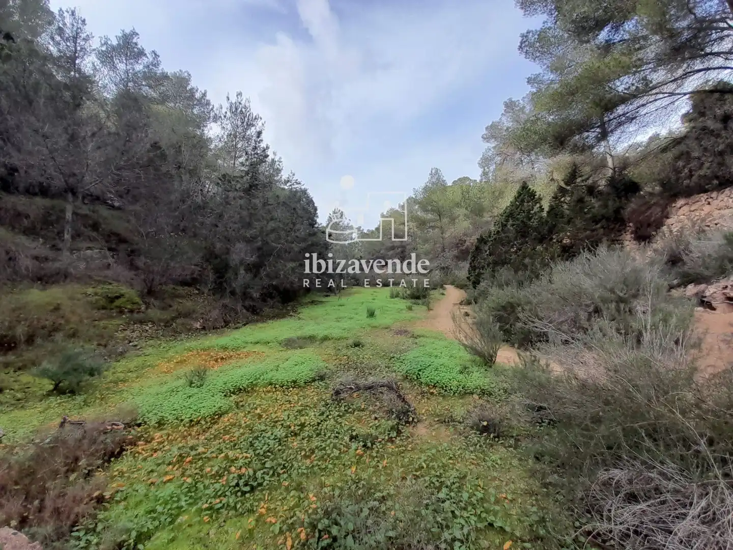 Terreny rústic en venda a de cala tarida, imagen 14