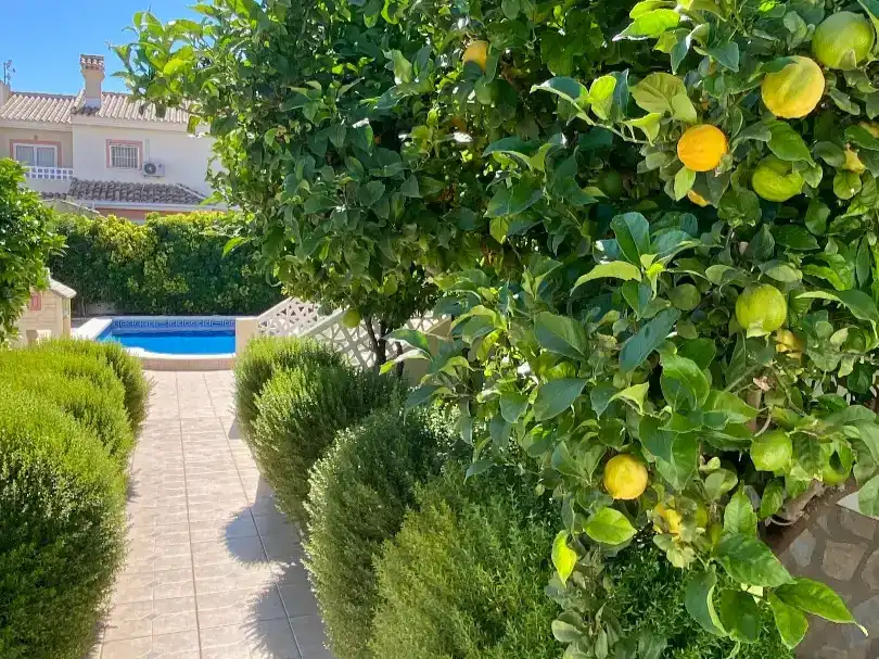 Jardín de Casa o chalet en venta en Rojales con Aire acondicionado y Piscina