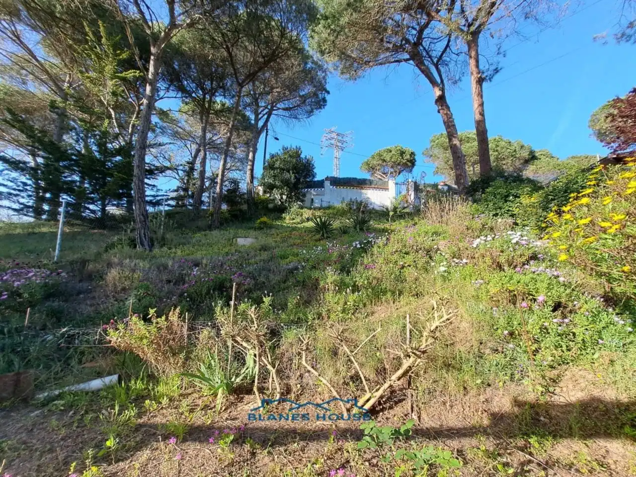 Casa o xalet en venda en Tordera amb Jardí privat, Terrassa i Moblat