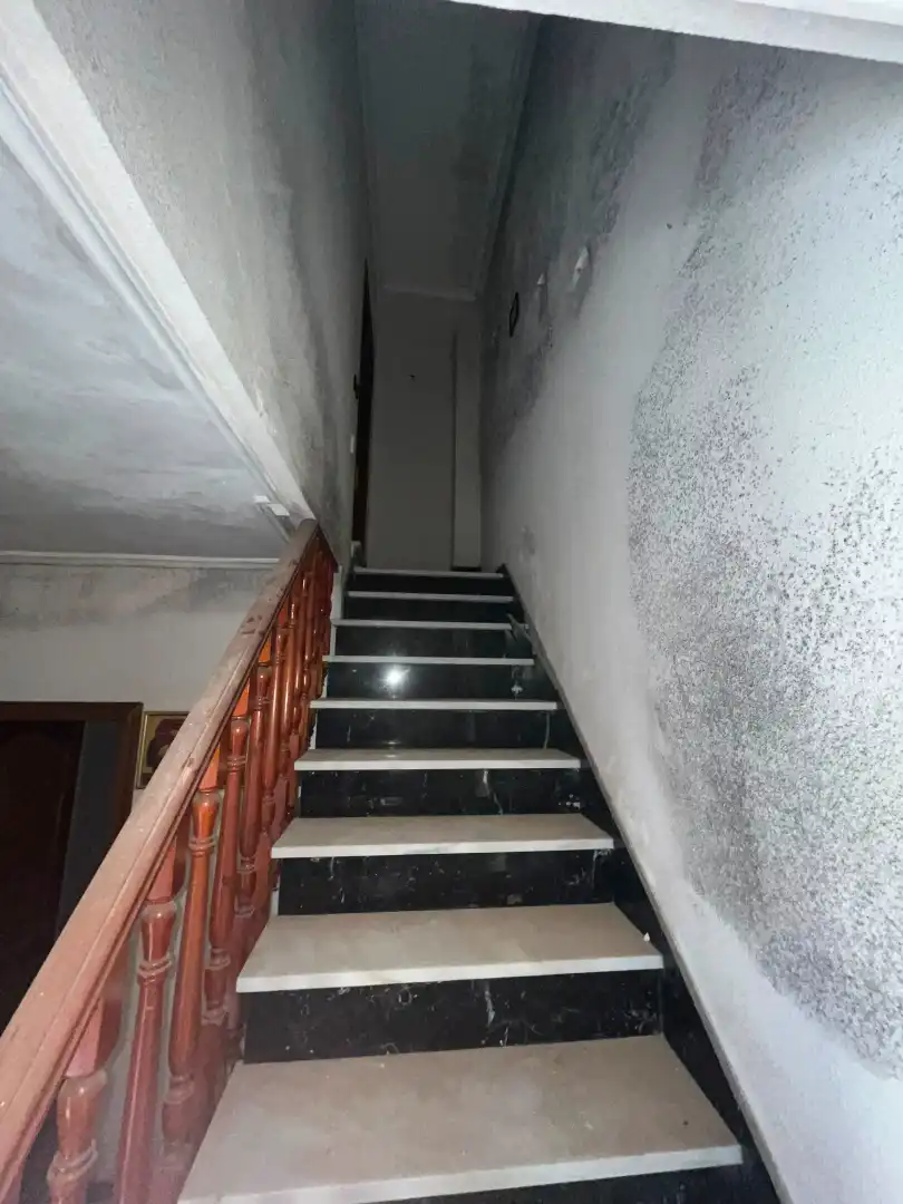 Casa o xalet en venda en Linares amb Terrassa