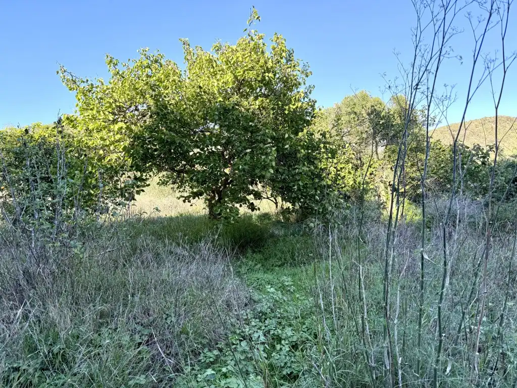 Finca rústica en venta en Sant Josep de sa Talaia