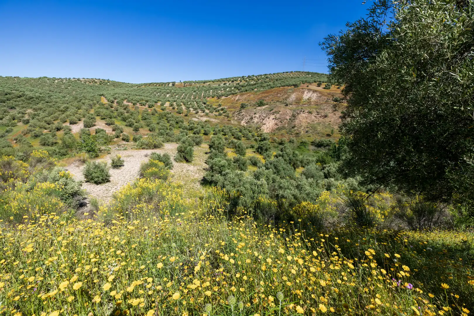 Rustikales Grundstück zum Verkauf in Paraje del molino 2, imagen 17